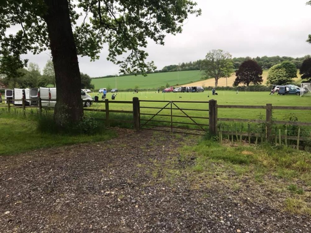 craft brewery equipment,500L brewhouse equipment